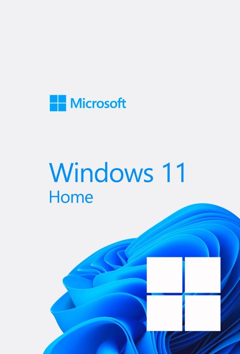 windows 11